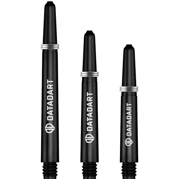 Datadart_Signature_Black.webp