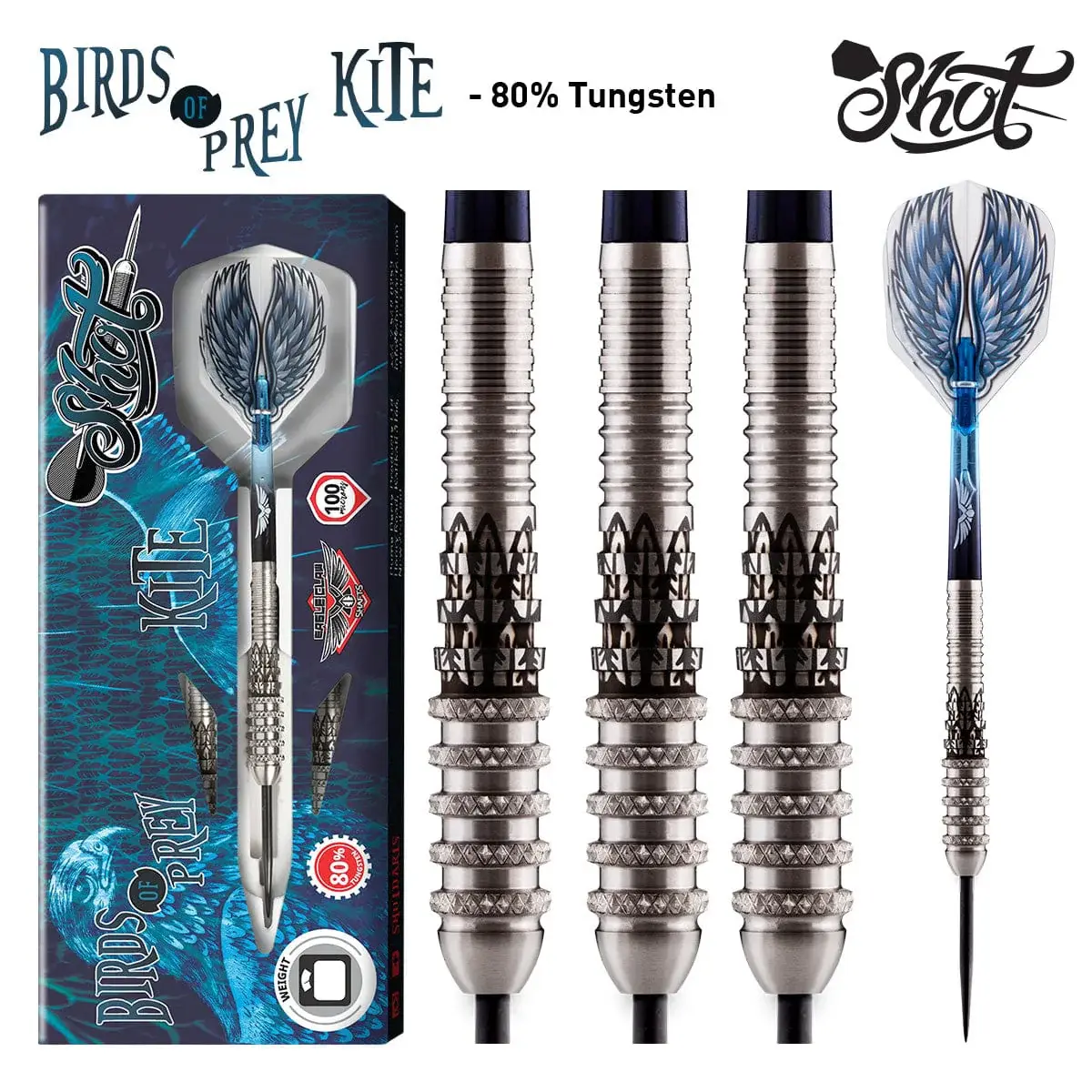 Shot_BirdsKite.webp