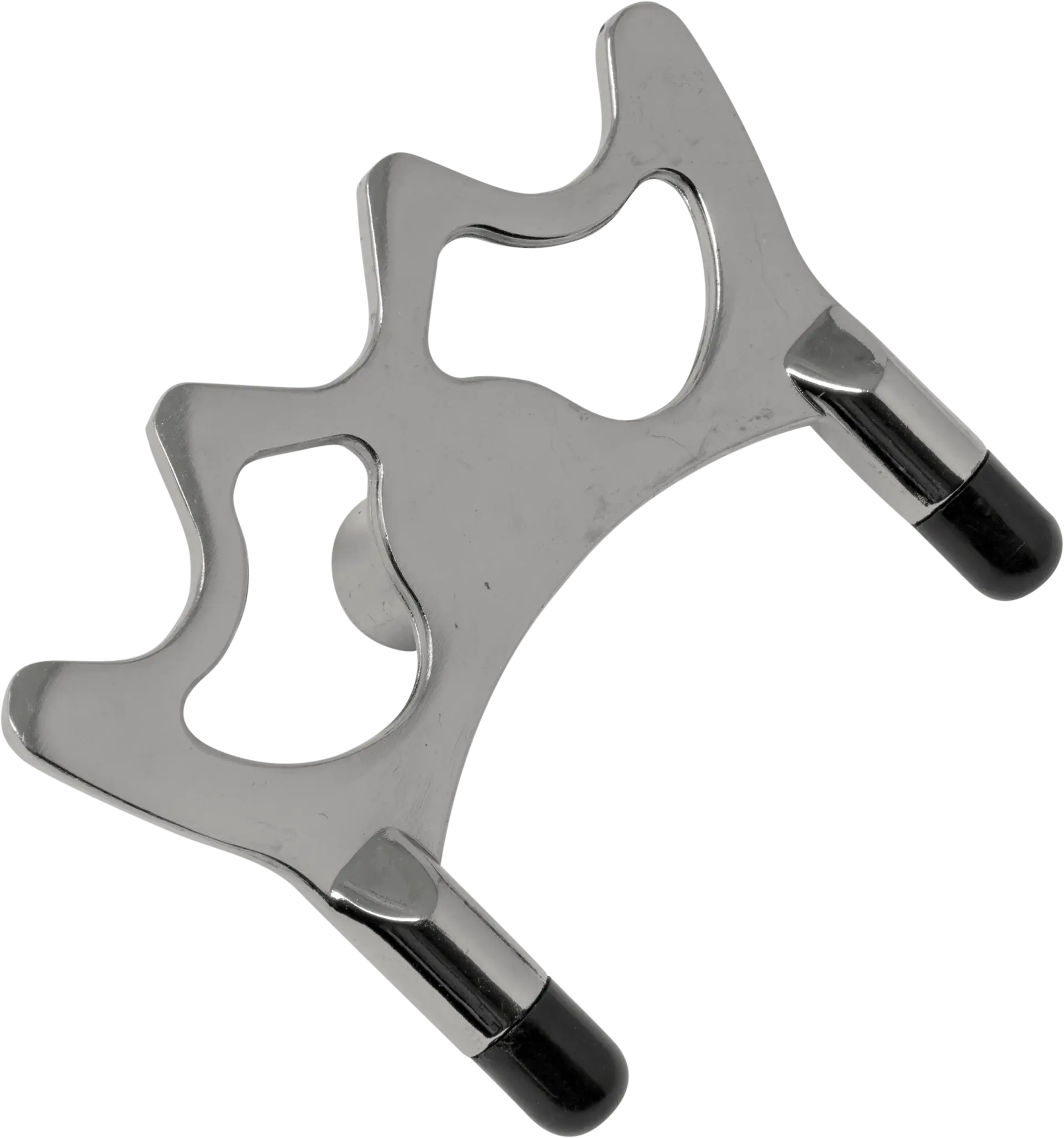 General_ChromeBridgeHead.webp