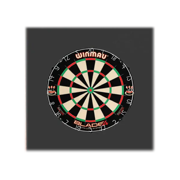Foam Dartboard Surround — 21"